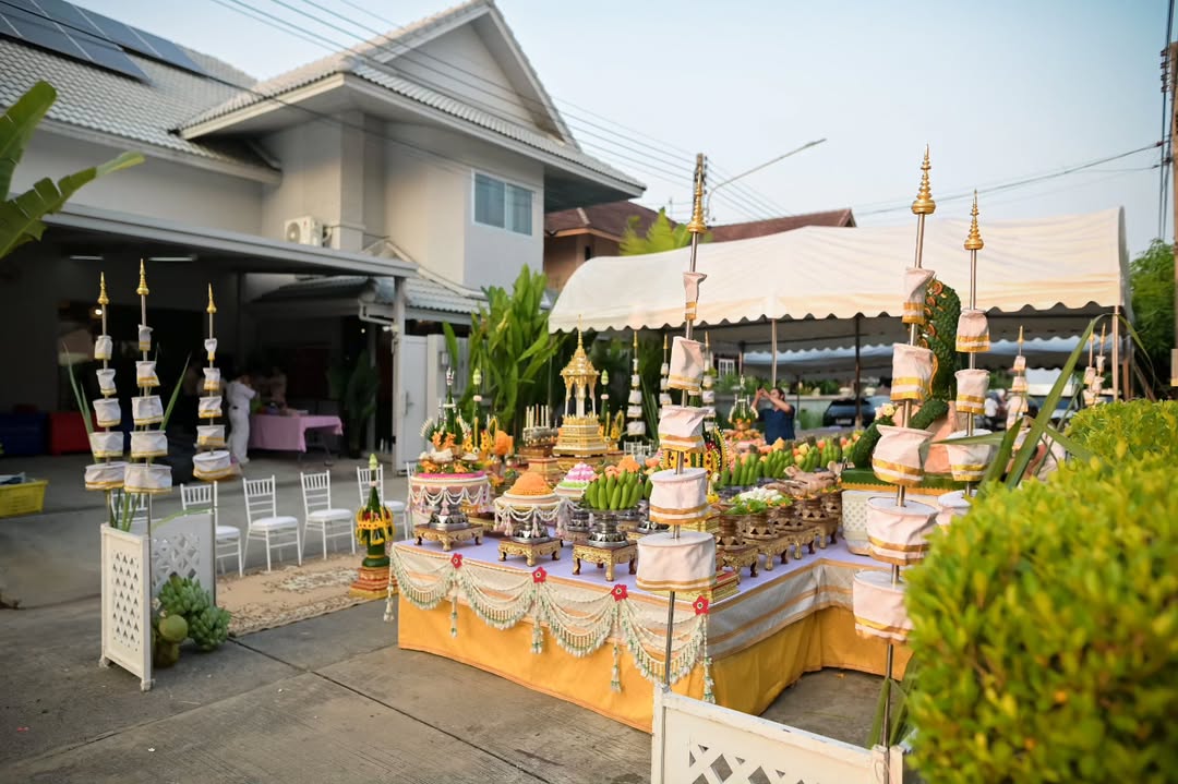 แคนดี้ รากแก่น