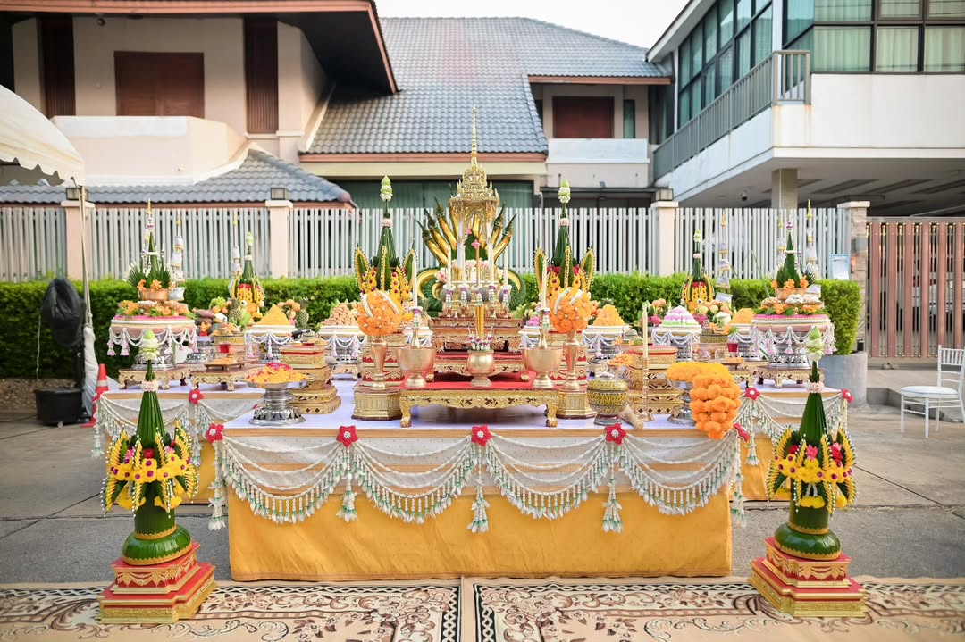 แคนดี้ รากแก่น