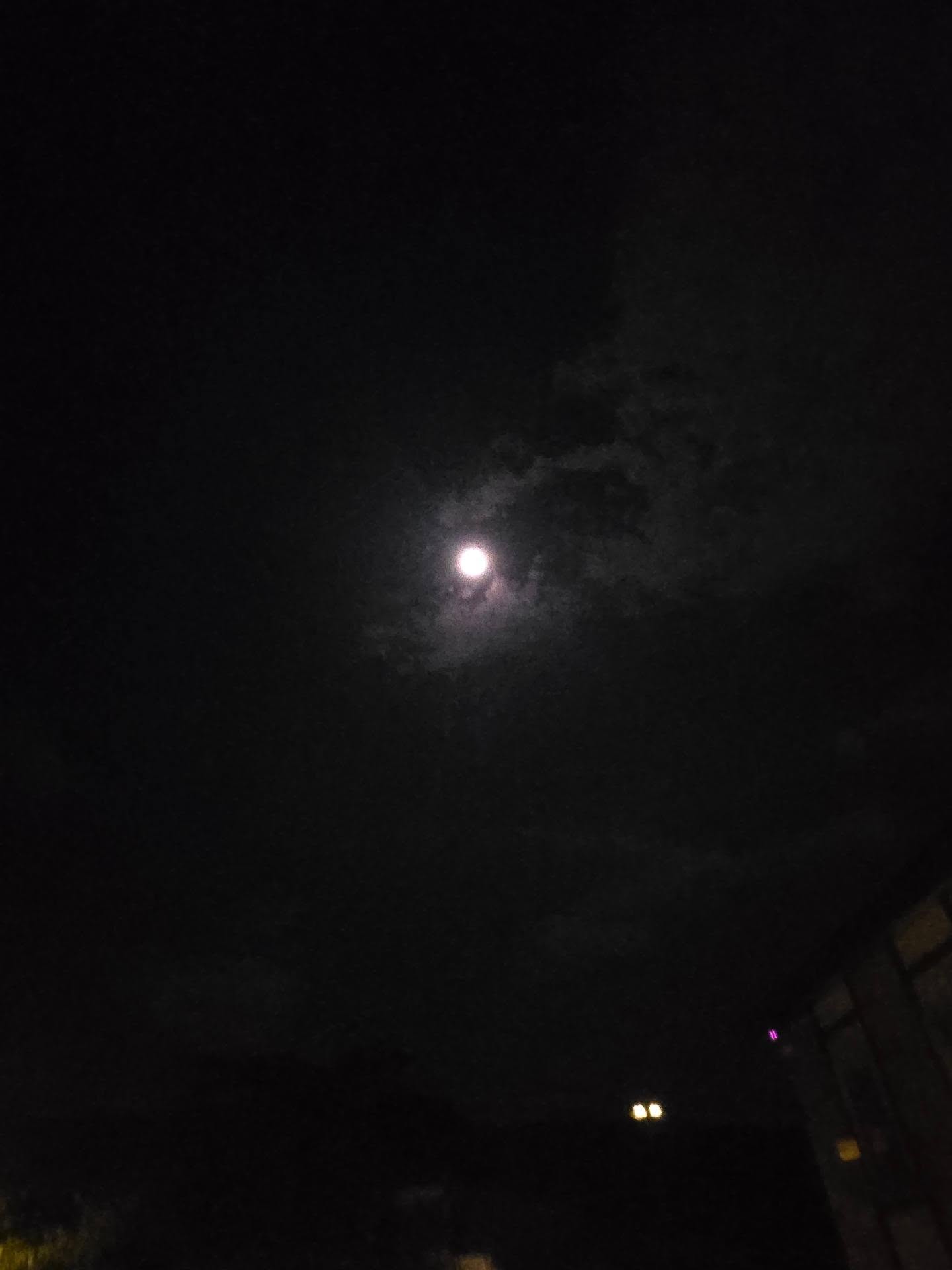 แคนดี้ รากแก่น