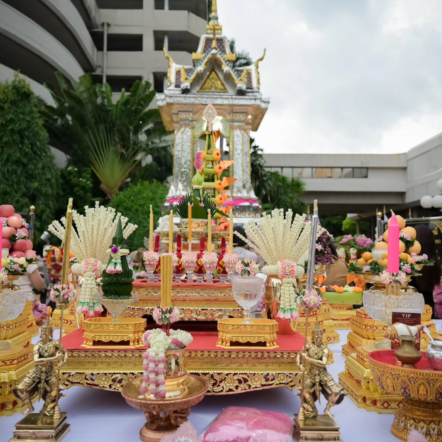 แคนดี้ รากแก่น