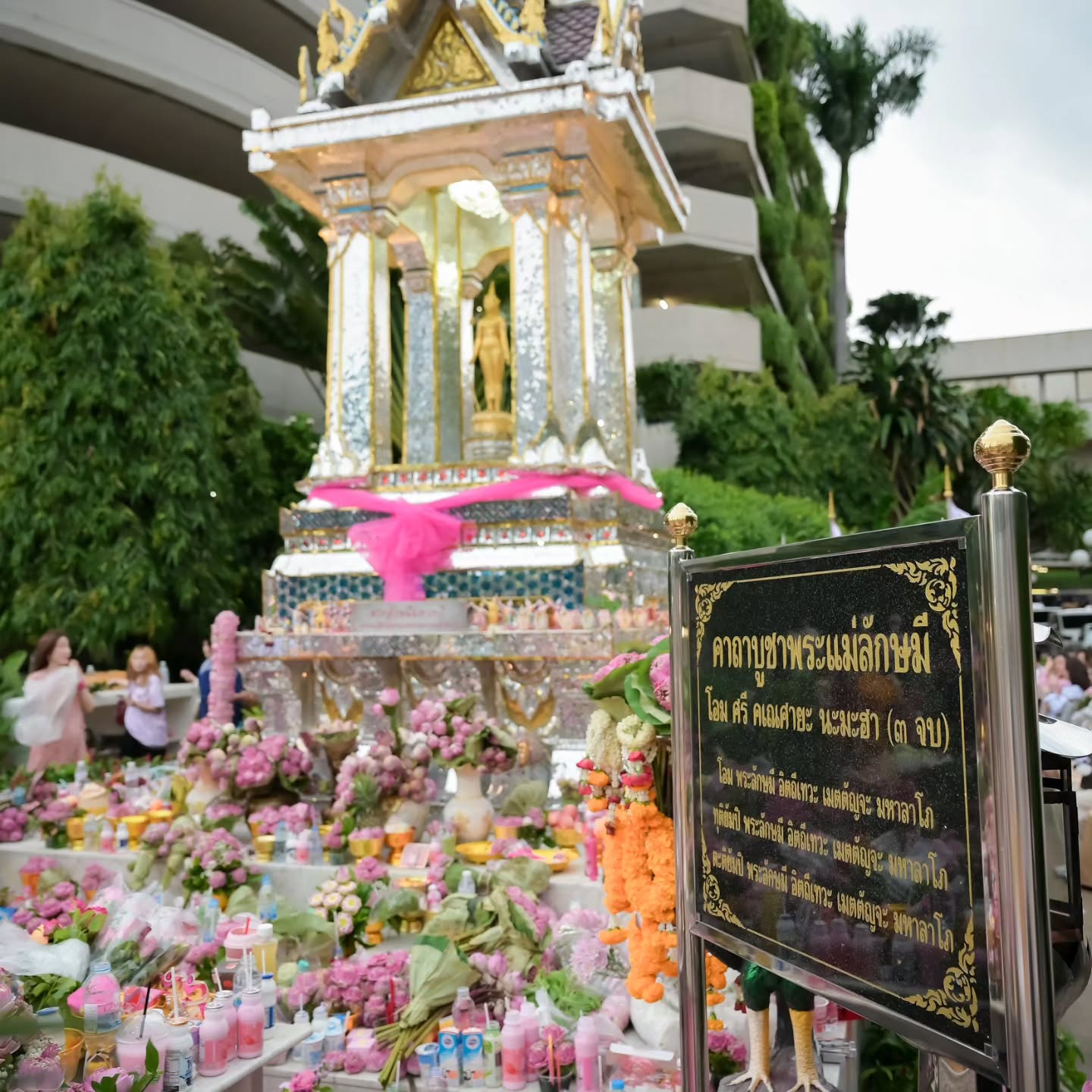 แคนดี้ รากแก่น