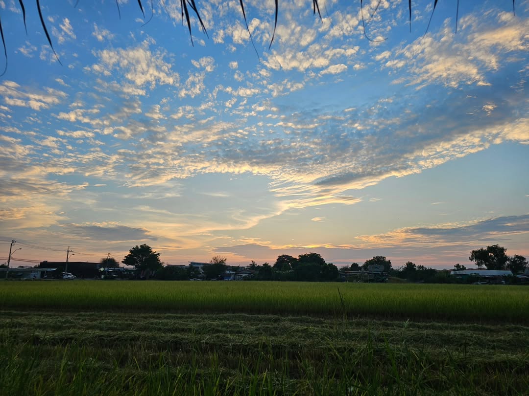 นัท - ปนัดดา เรืองวุฒิ