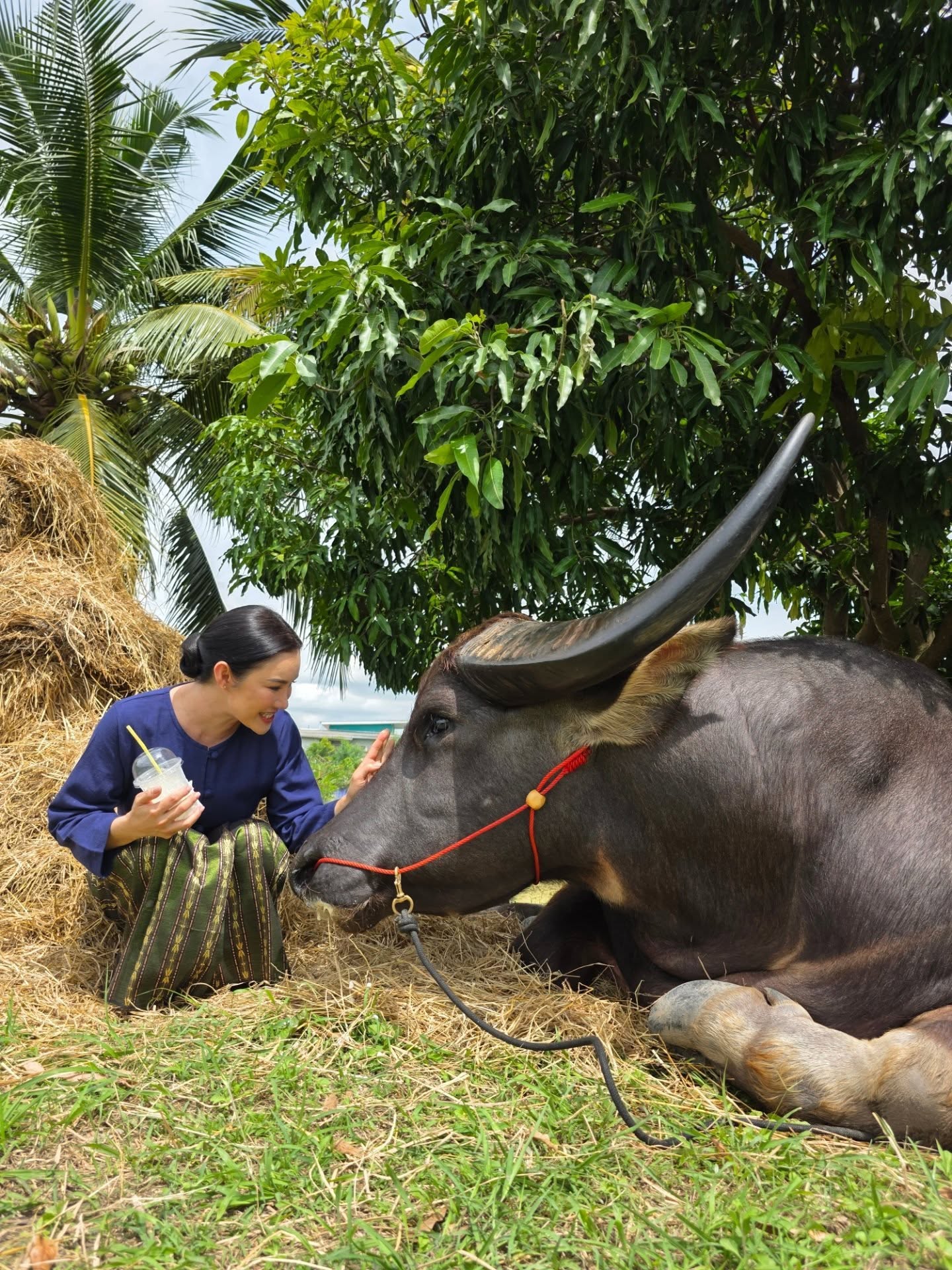นัท - ปนัดดา เรืองวุฒิ