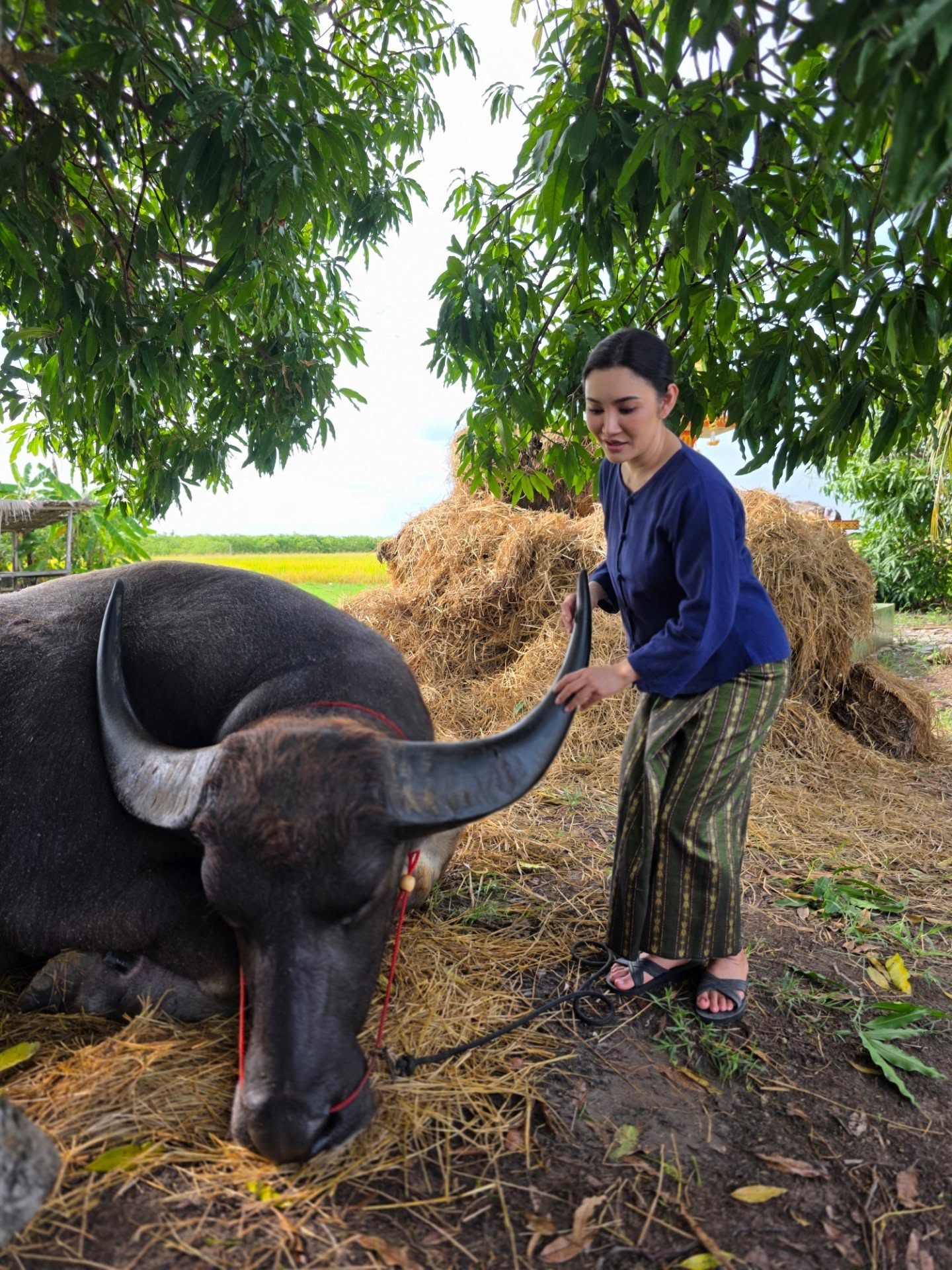 นัท - ปนัดดา เรืองวุฒิ