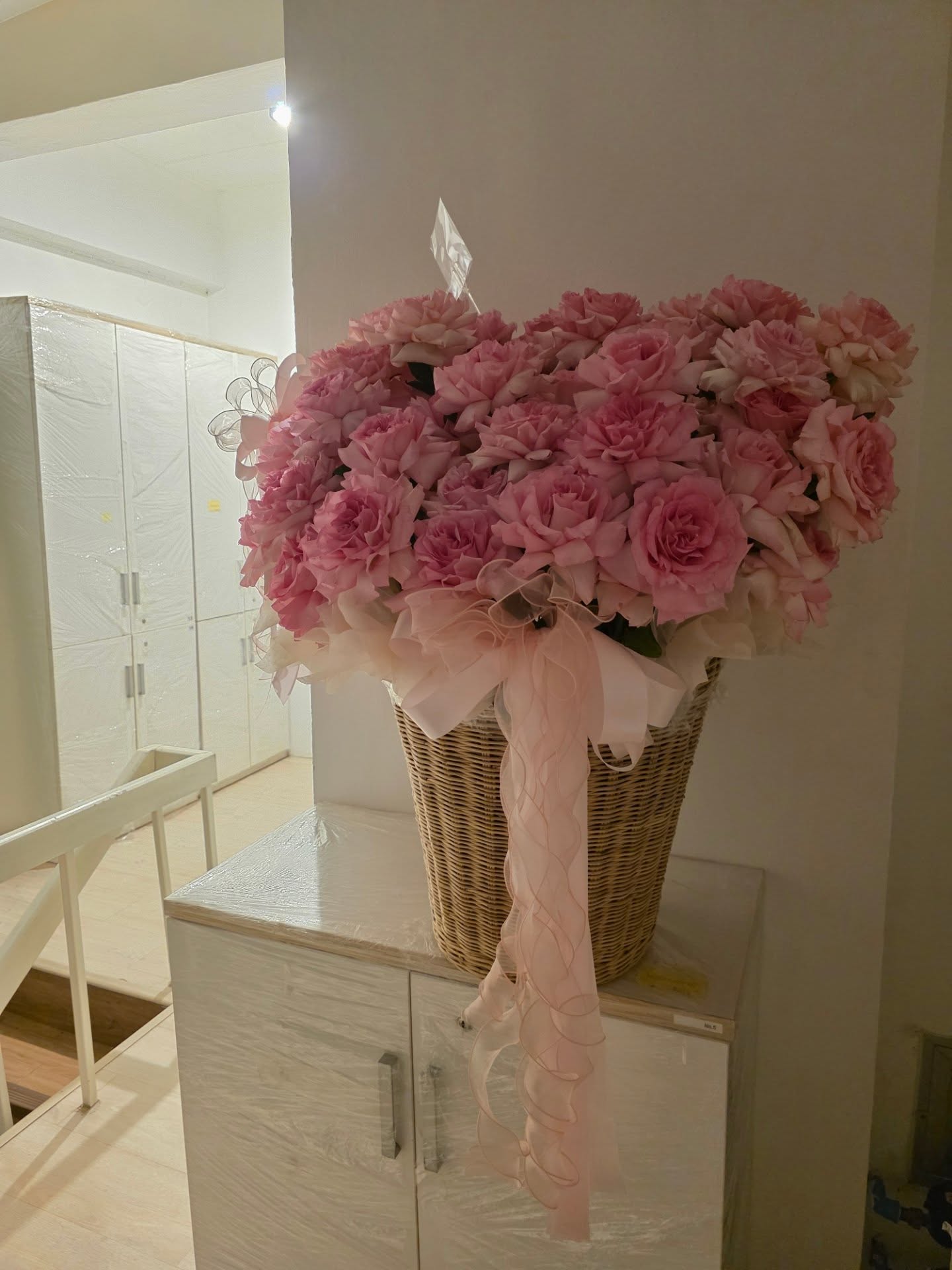 นัท - ปนัดดา เรืองวุฒิ