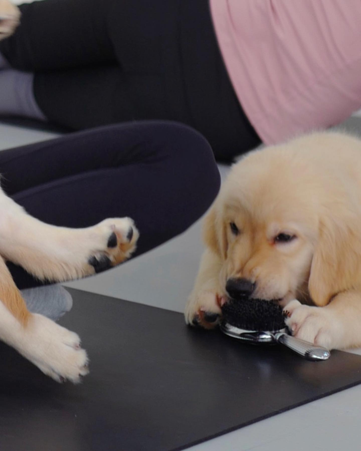 เกรซ - กาญจน์เกล้า ด้วยเศียรเกล้า