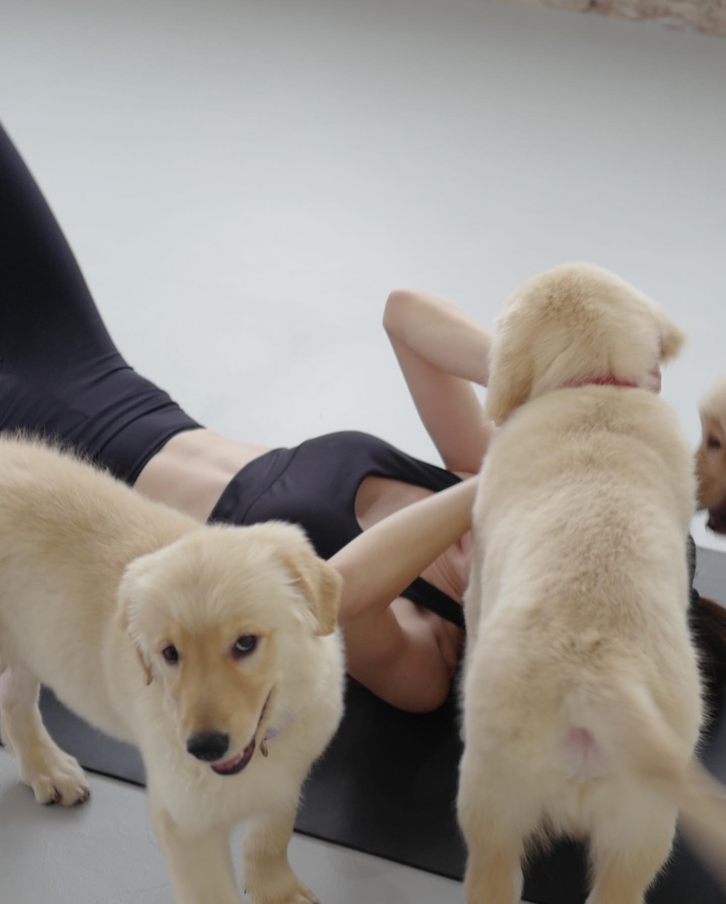 เกรซ - กาญจน์เกล้า ด้วยเศียรเกล้า