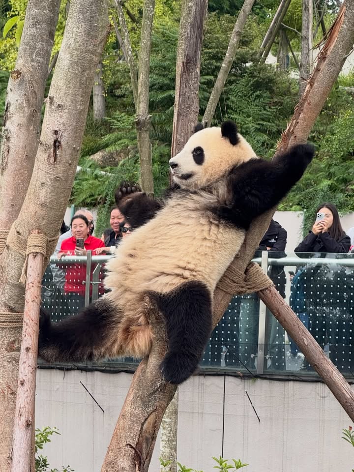 เกรซ - กาญจน์เกล้า ด้วยเศียรเกล้า