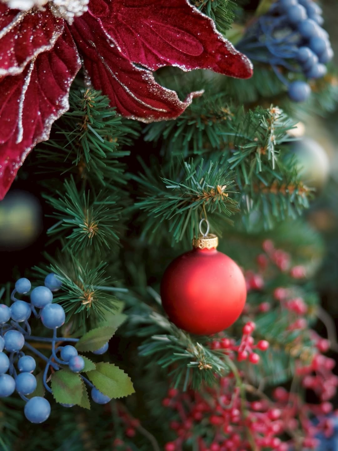 เกรซ - กาญจน์เกล้า ด้วยเศียรเกล้า