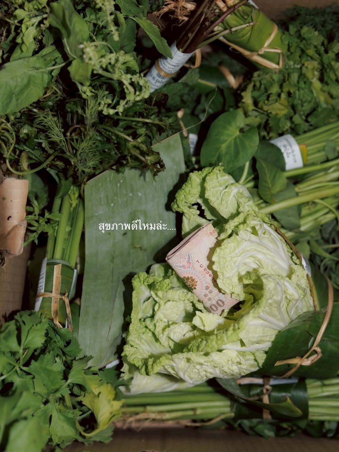 เกรซ - กาญจน์เกล้า ด้วยเศียรเกล้า