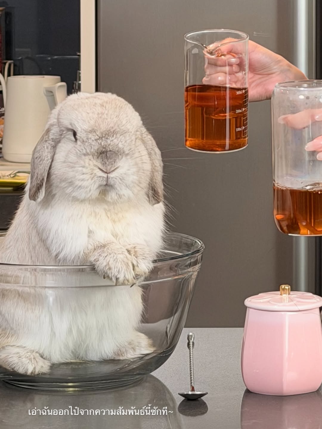 เกรซ - กาญจน์เกล้า ด้วยเศียรเกล้า