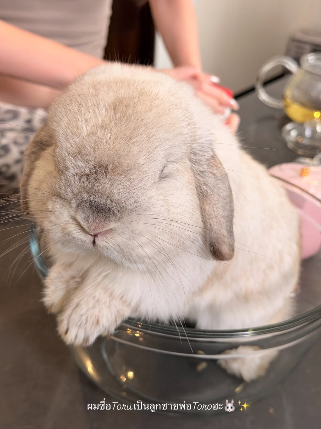 เกรซ - กาญจน์เกล้า ด้วยเศียรเกล้า