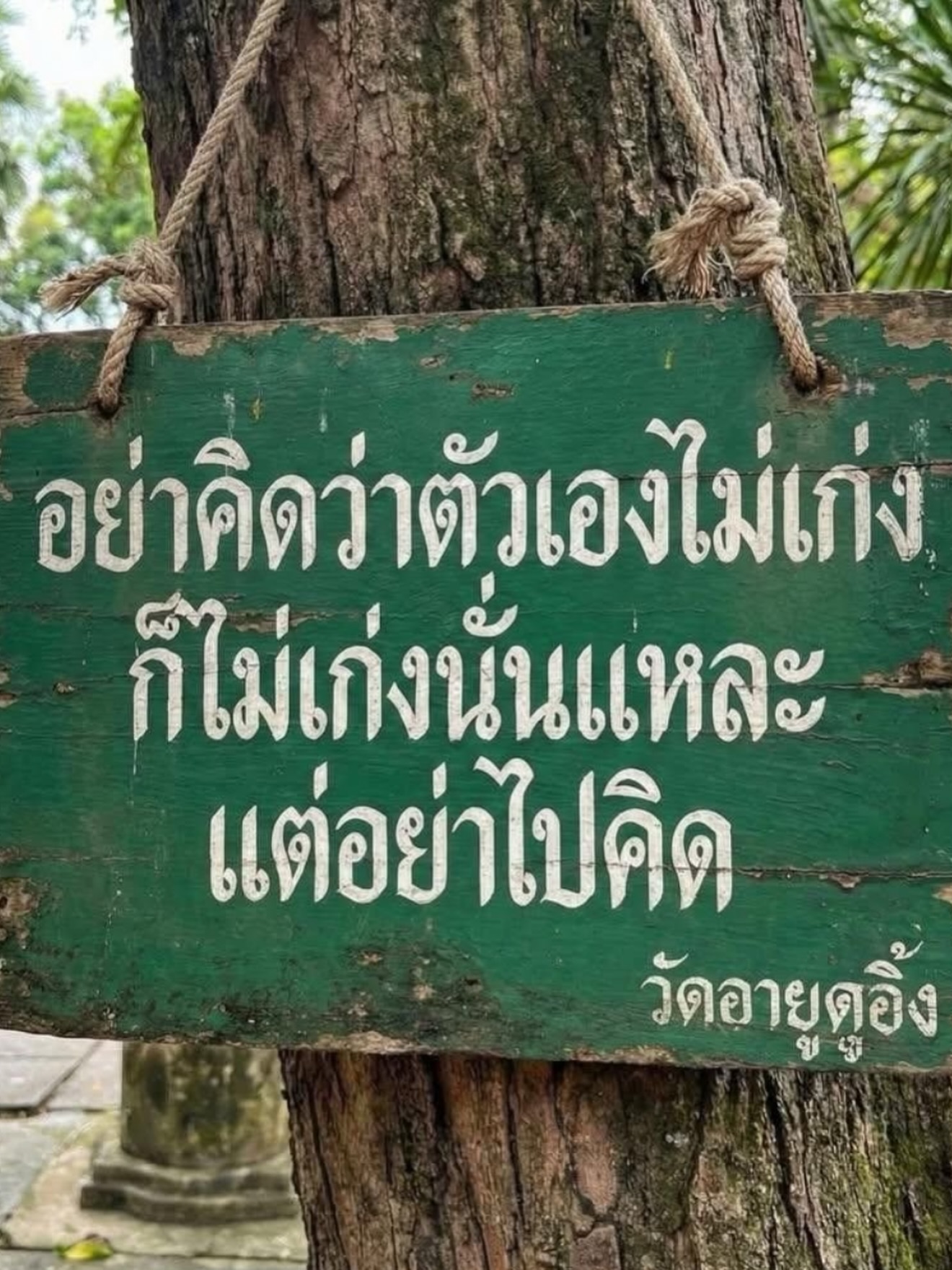 เกรซ - กาญจน์เกล้า ด้วยเศียรเกล้า