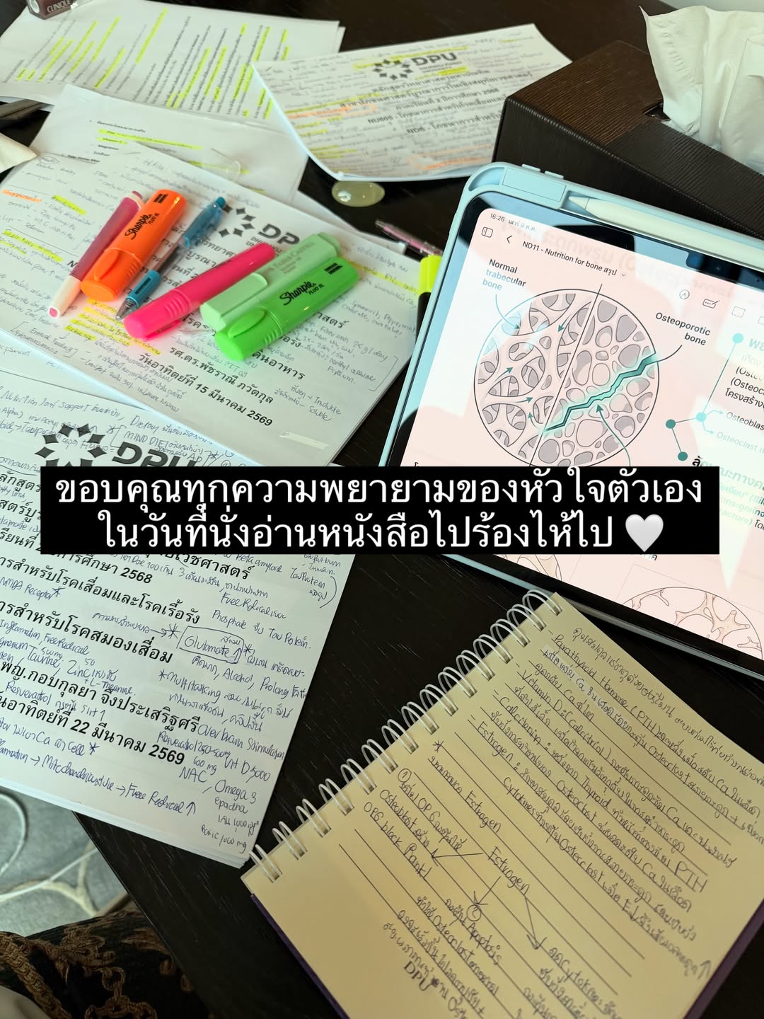 เกรซ - กาญจน์เกล้า ด้วยเศียรเกล้า