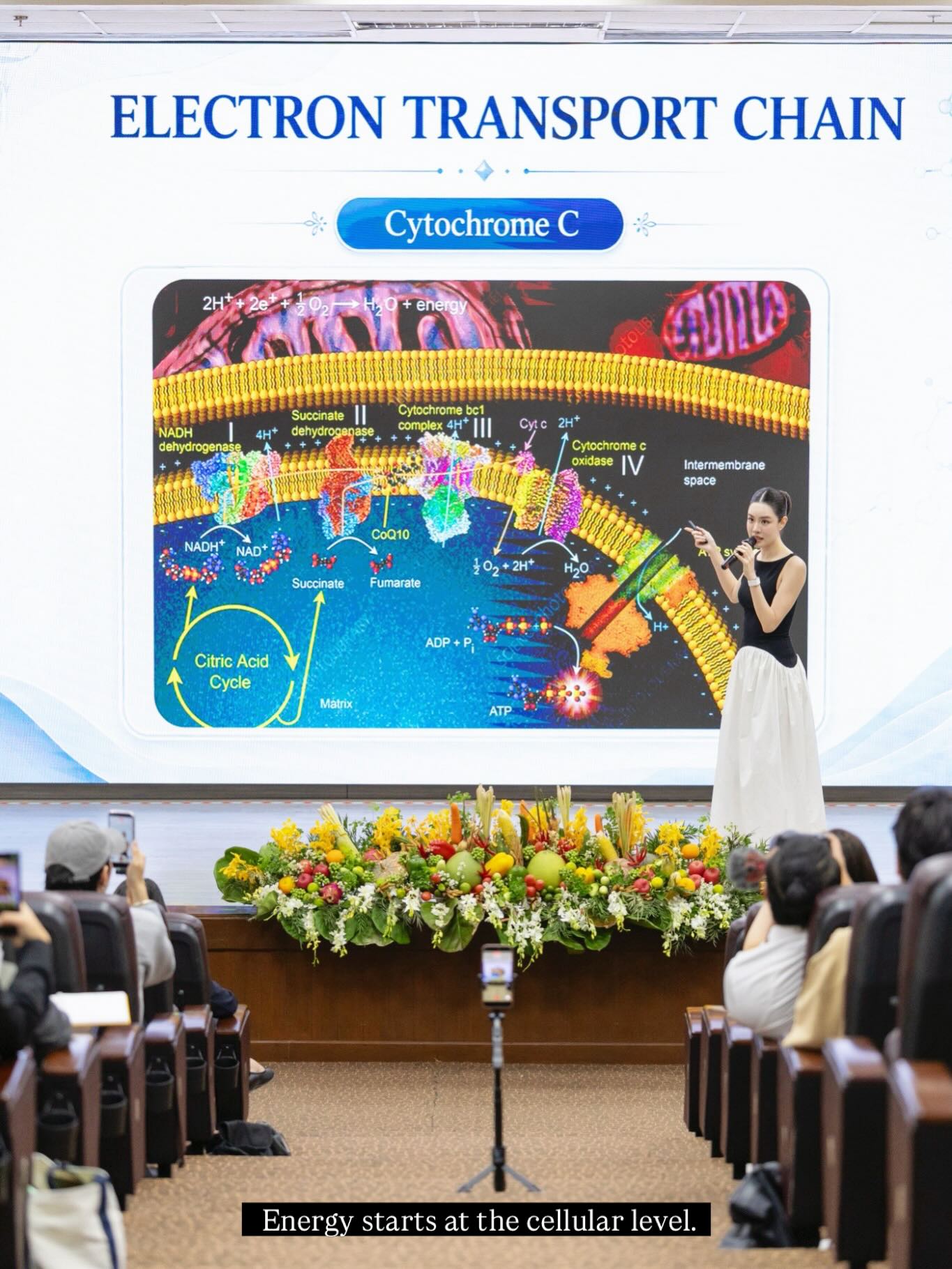 เกรซ - กาญจน์เกล้า ด้วยเศียรเกล้า