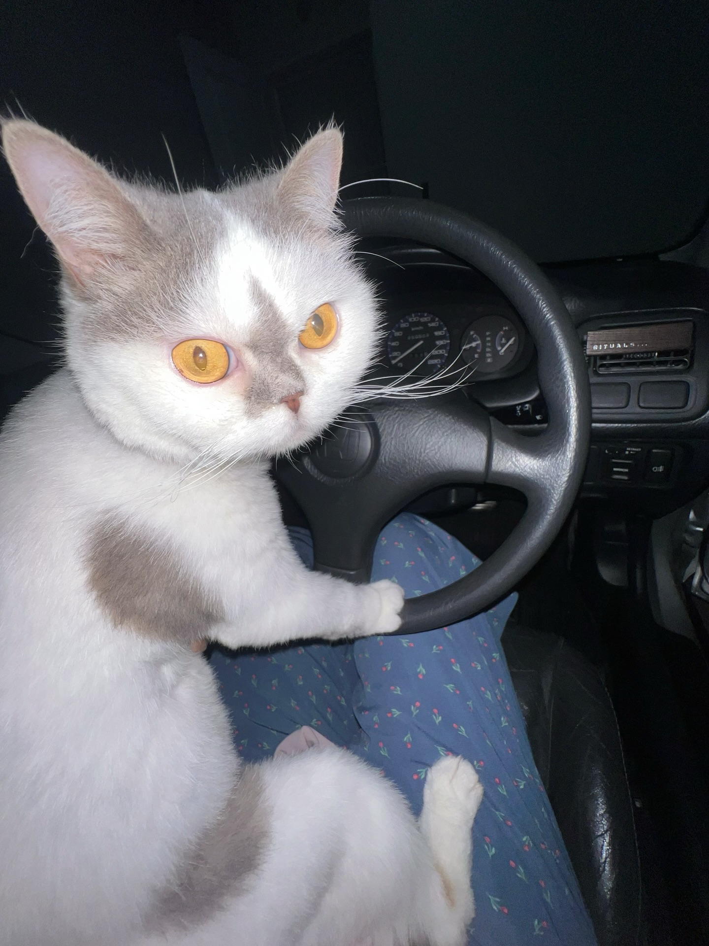 อิมเมจ - สุธิตา ชนะชัยสุวรรณ