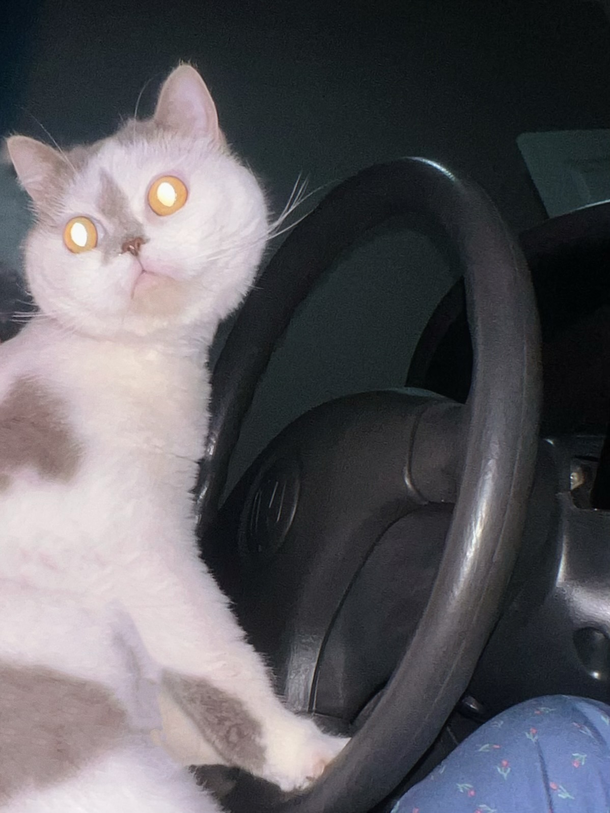 อิมเมจ - สุธิตา ชนะชัยสุวรรณ