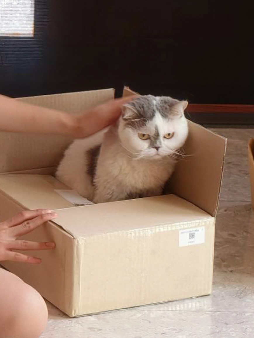 อิมเมจ - สุธิตา ชนะชัยสุวรรณ