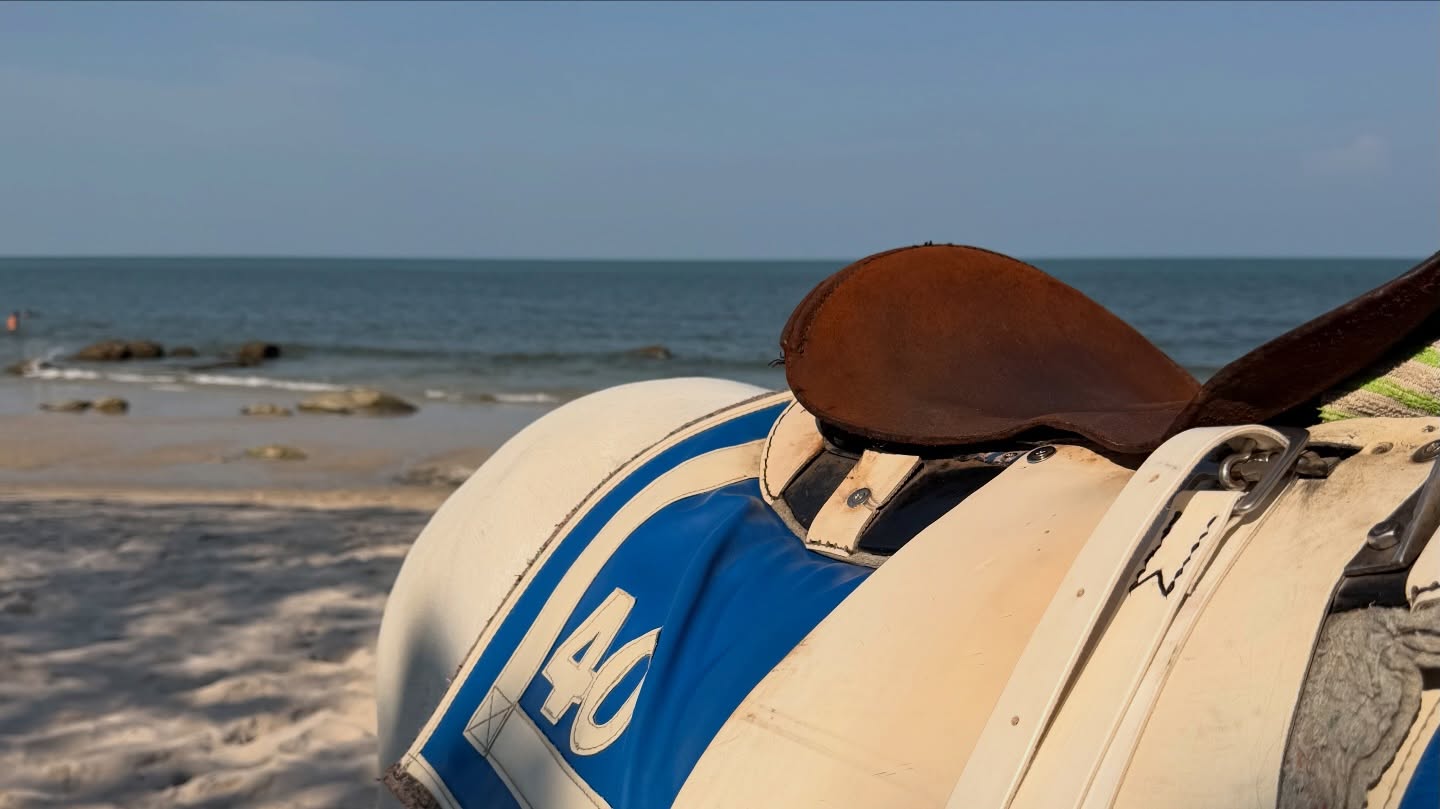 อิมเมจ - สุธิตา ชนะชัยสุวรรณ