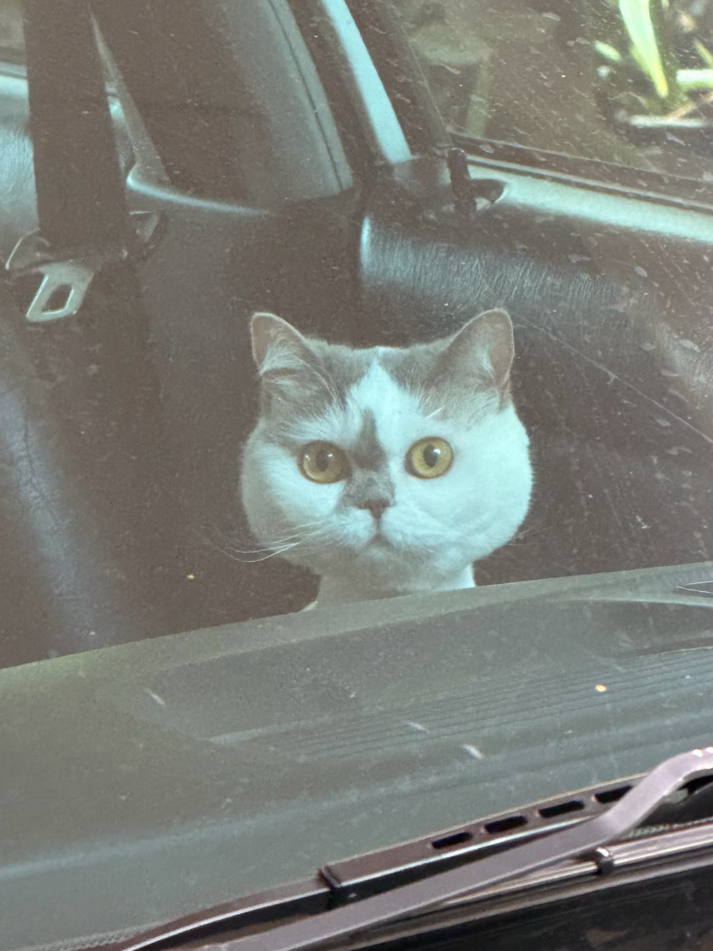 อิมเมจ - สุธิตา ชนะชัยสุวรรณ