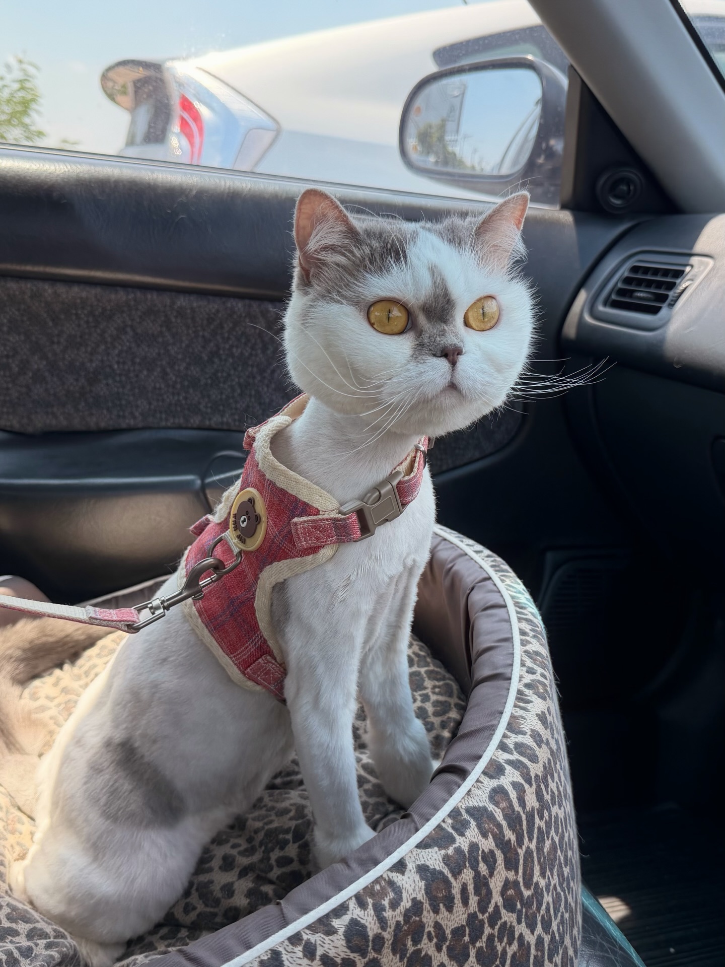 อิมเมจ - สุธิตา ชนะชัยสุวรรณ