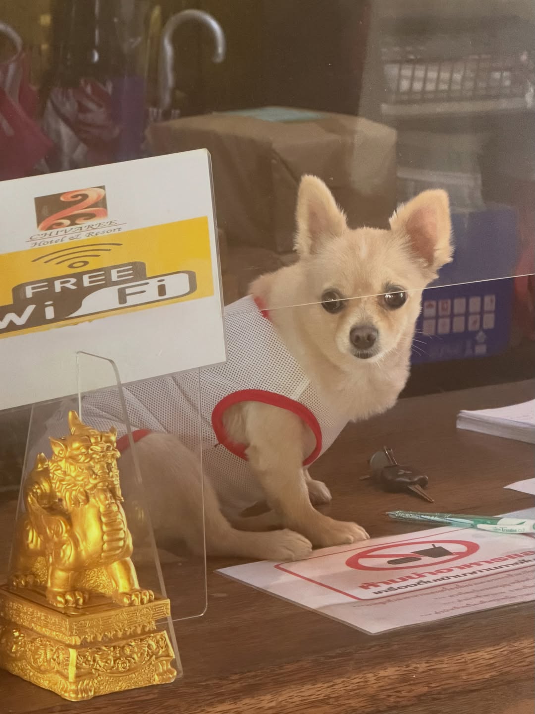 อิมเมจ - สุธิตา ชนะชัยสุวรรณ