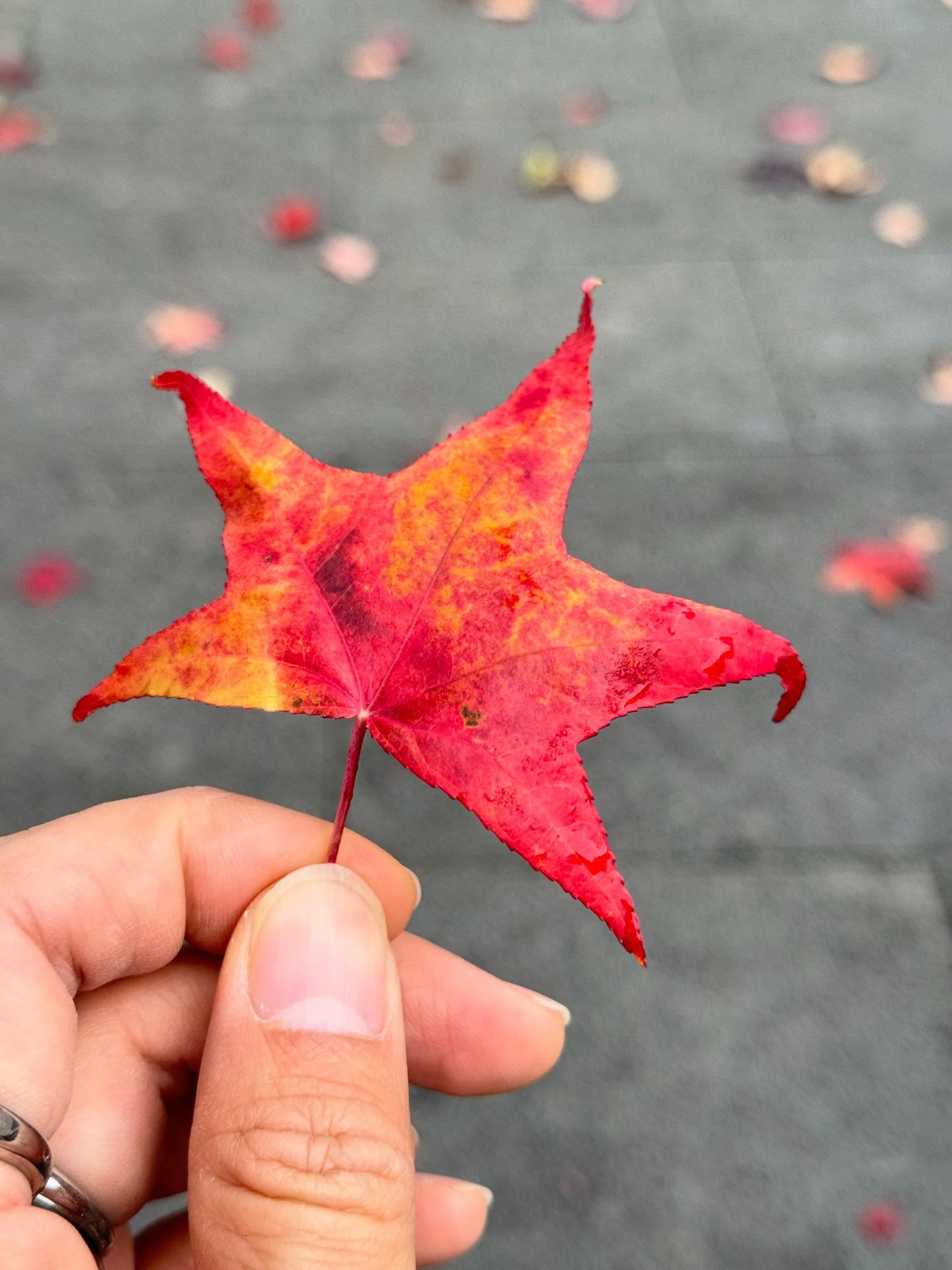 เวฟ - คูเปยจง