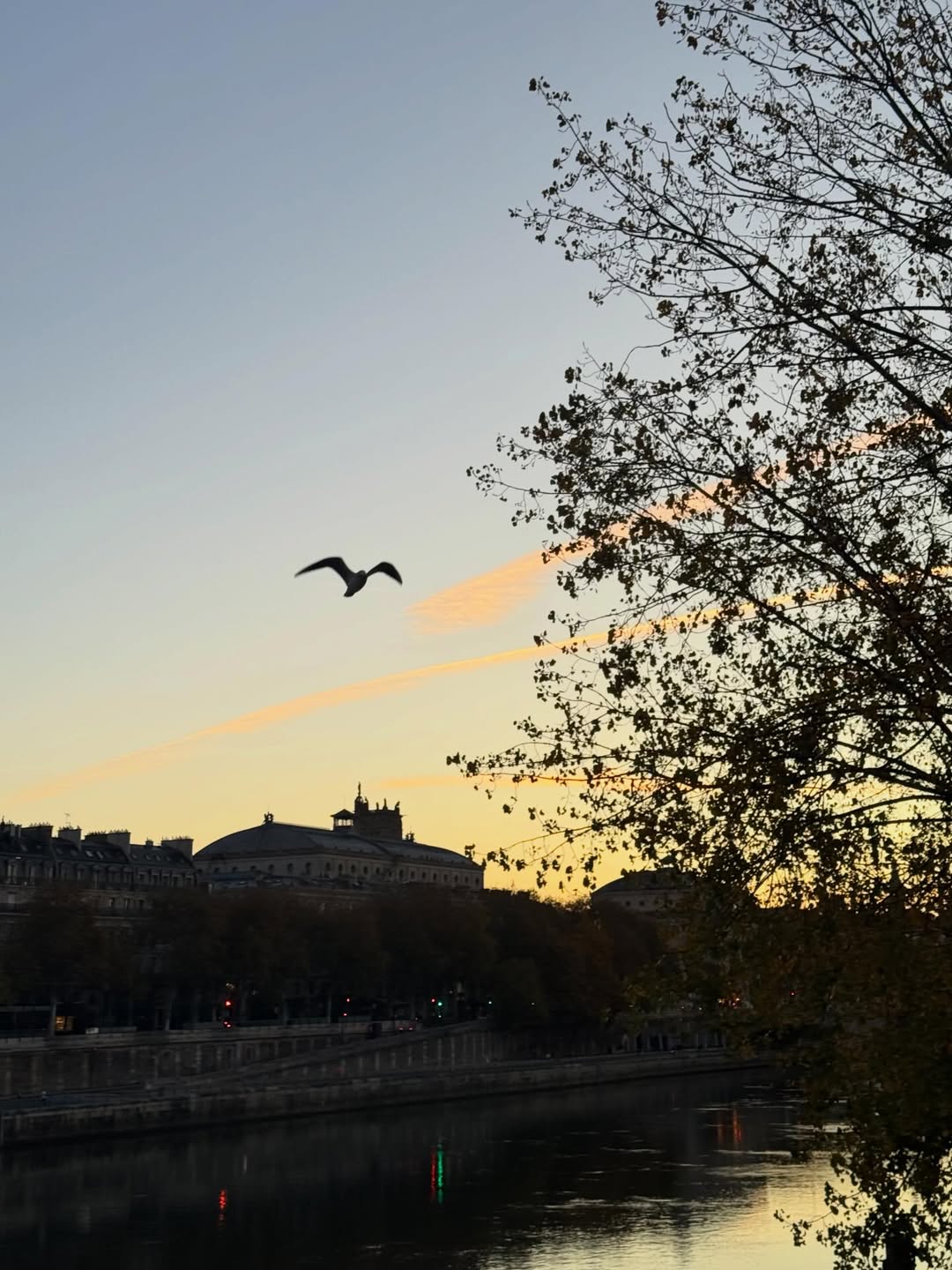 เวฟ - คูเปยจง