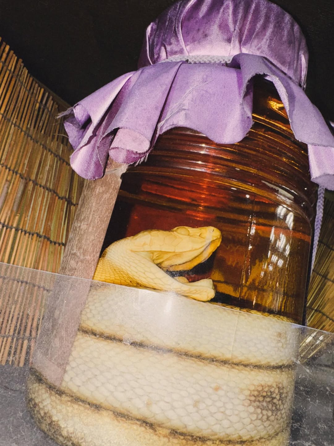 เวฟ - คูเปยจง