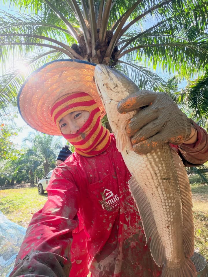 เวฟ - คูเปยจง