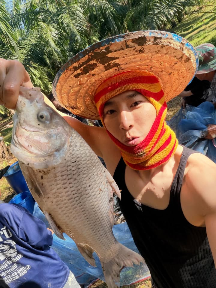 เวฟ - คูเปยจง