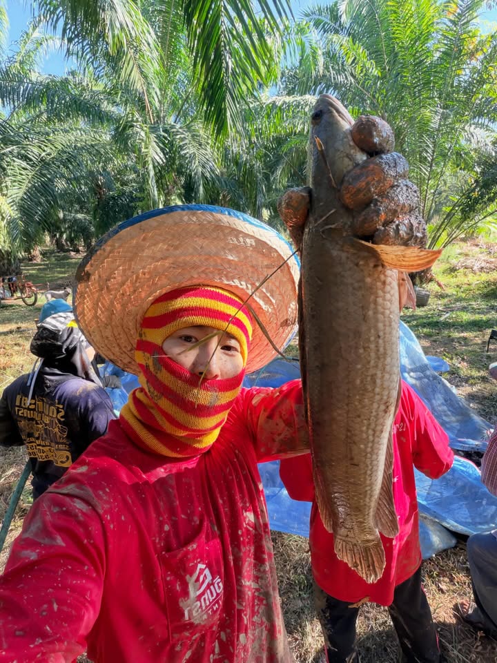 เวฟ - คูเปยจง