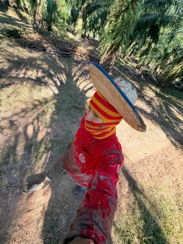 เวฟ - คูเปยจง