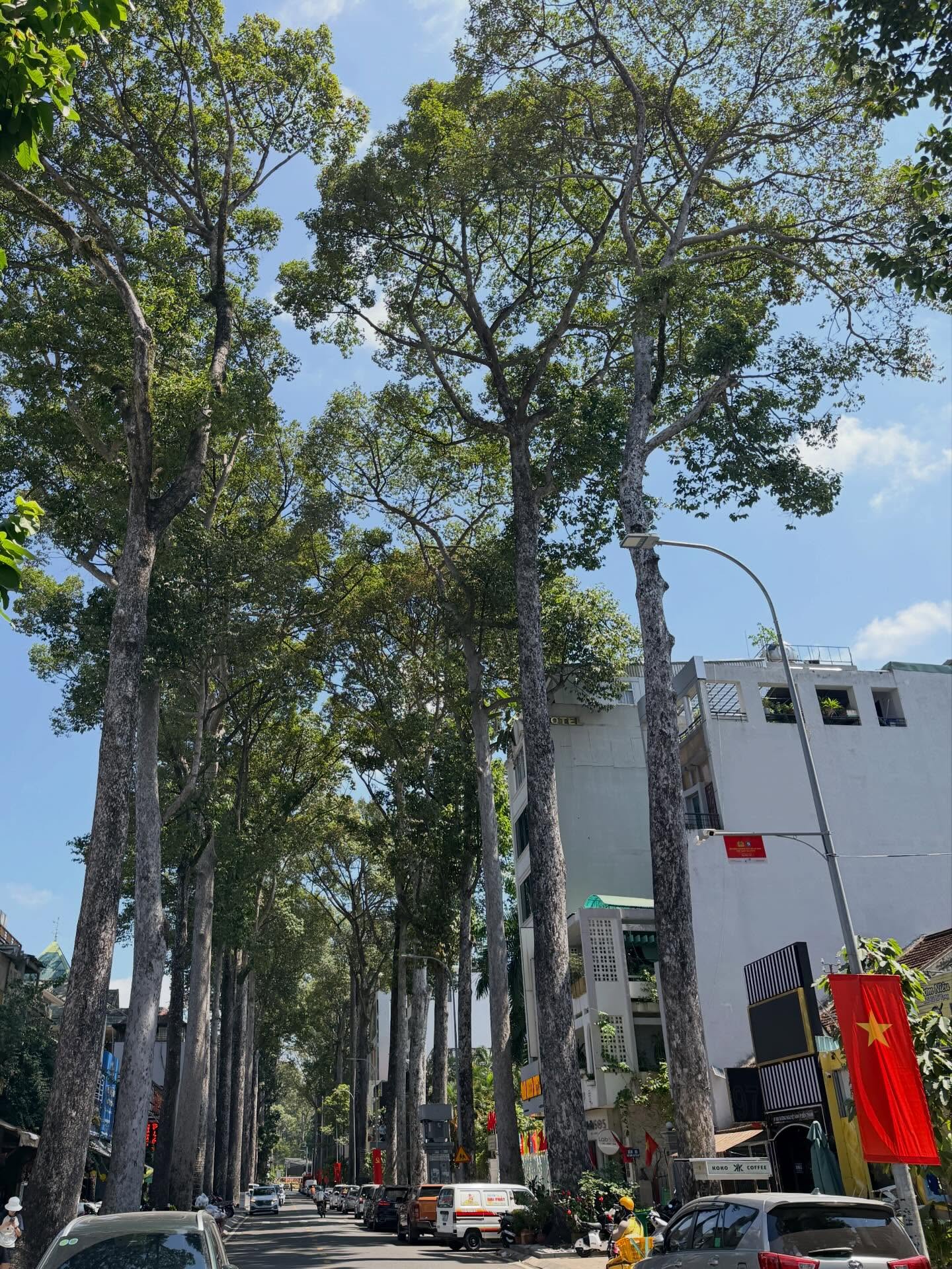 เวฟ - คูเปยจง