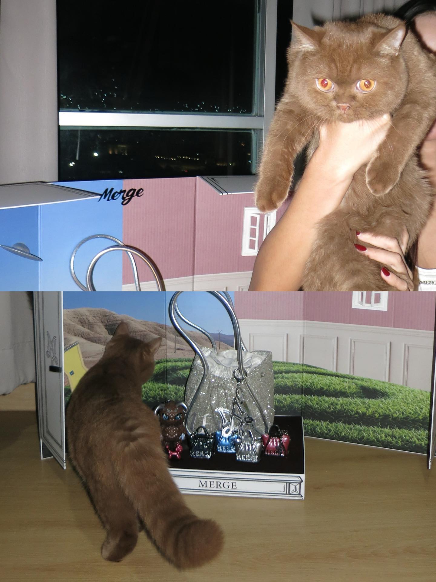 อุ้ม - ทวีพร พริ้งจำรัส