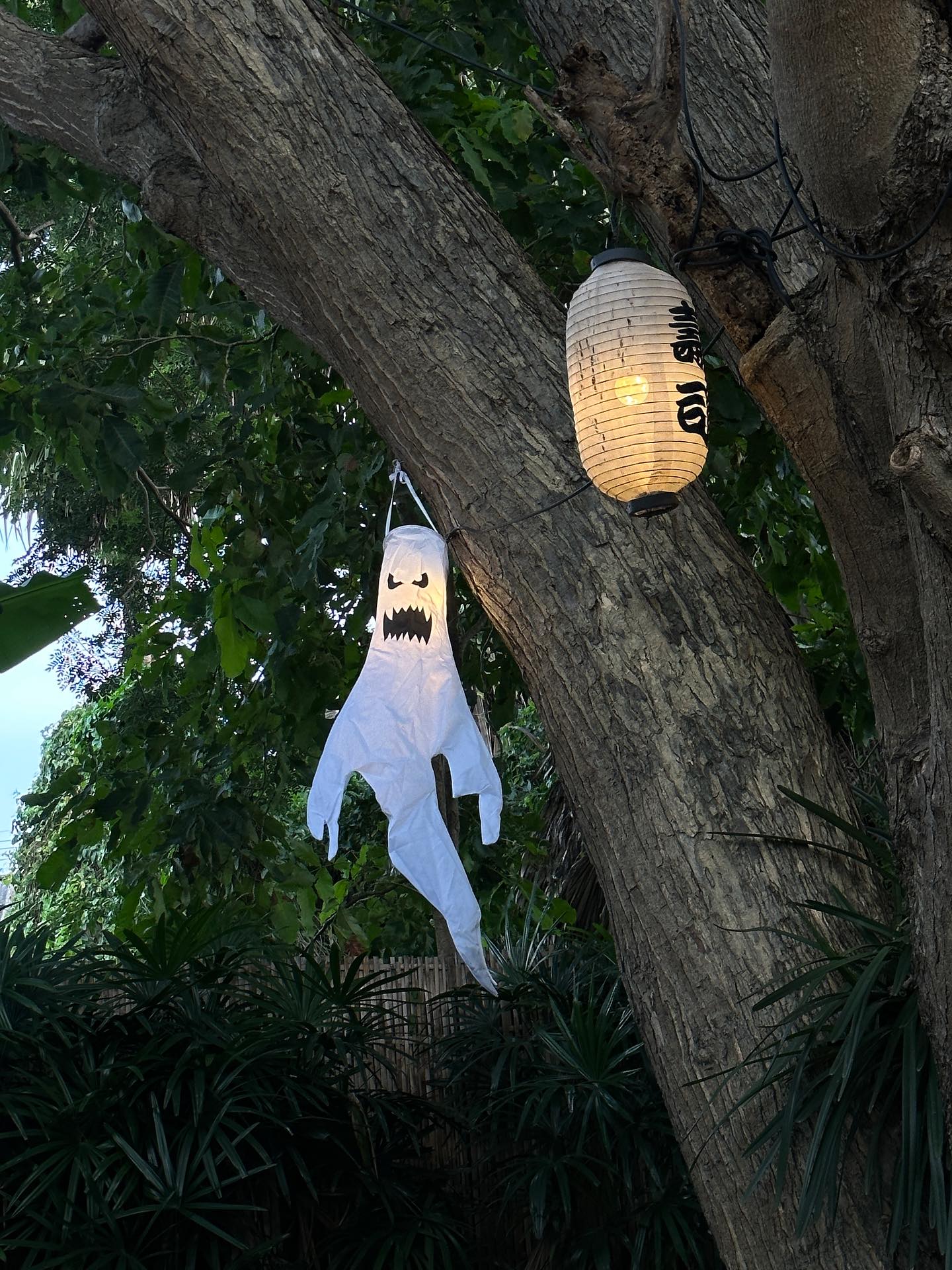 อุ้ม - ทวีพร พริ้งจำรัส