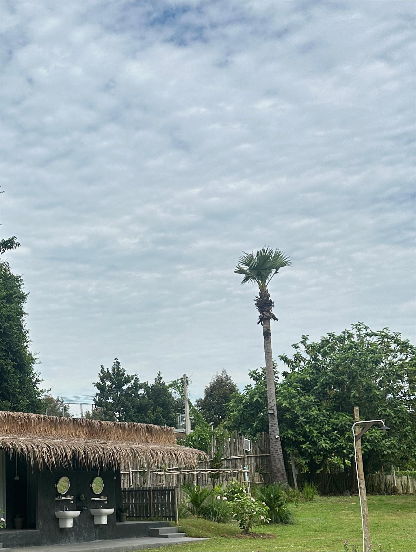 อุ้ม - ทวีพร พริ้งจำรัส