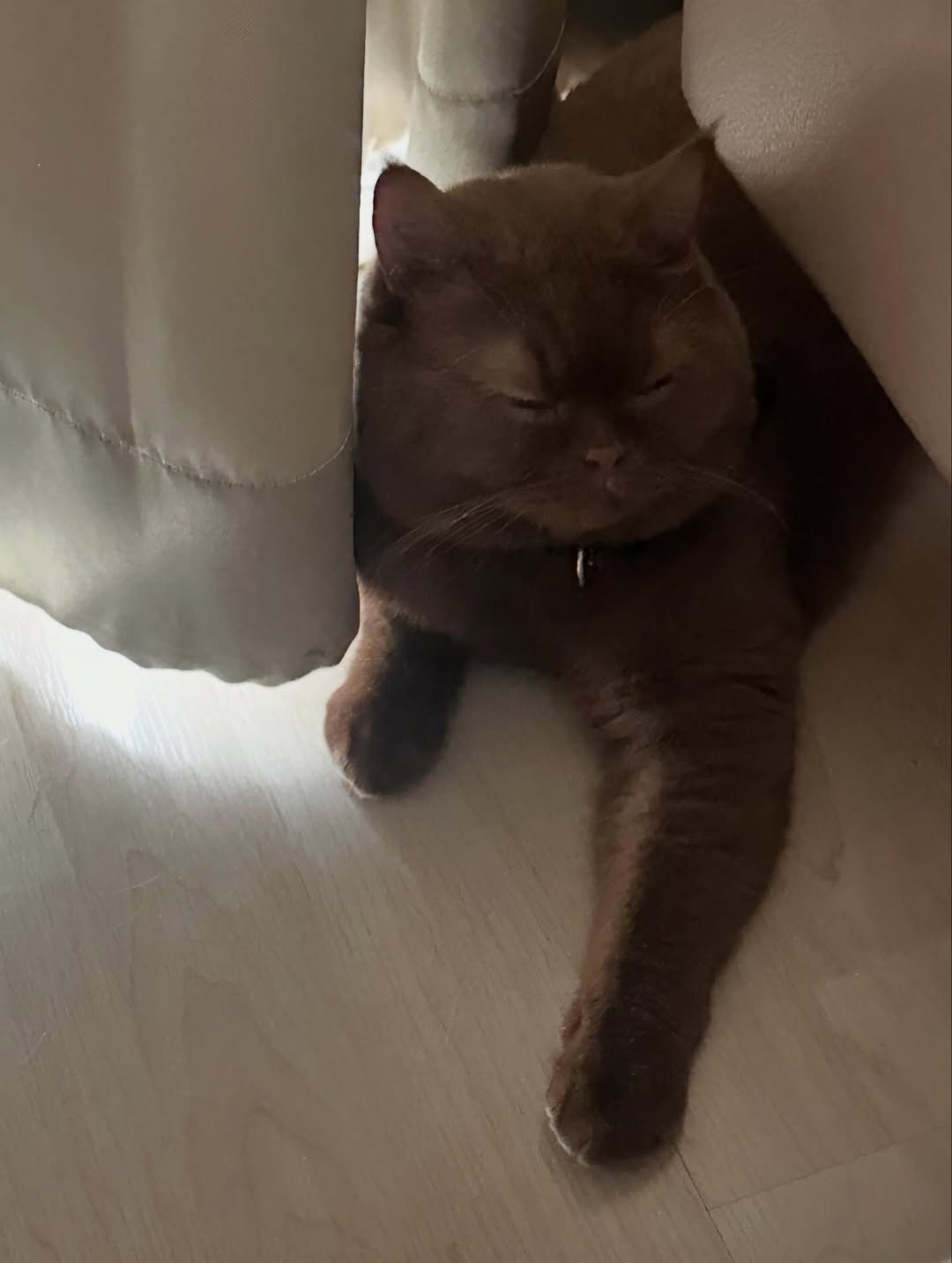 อุ้ม - ทวีพร พริ้งจำรัส