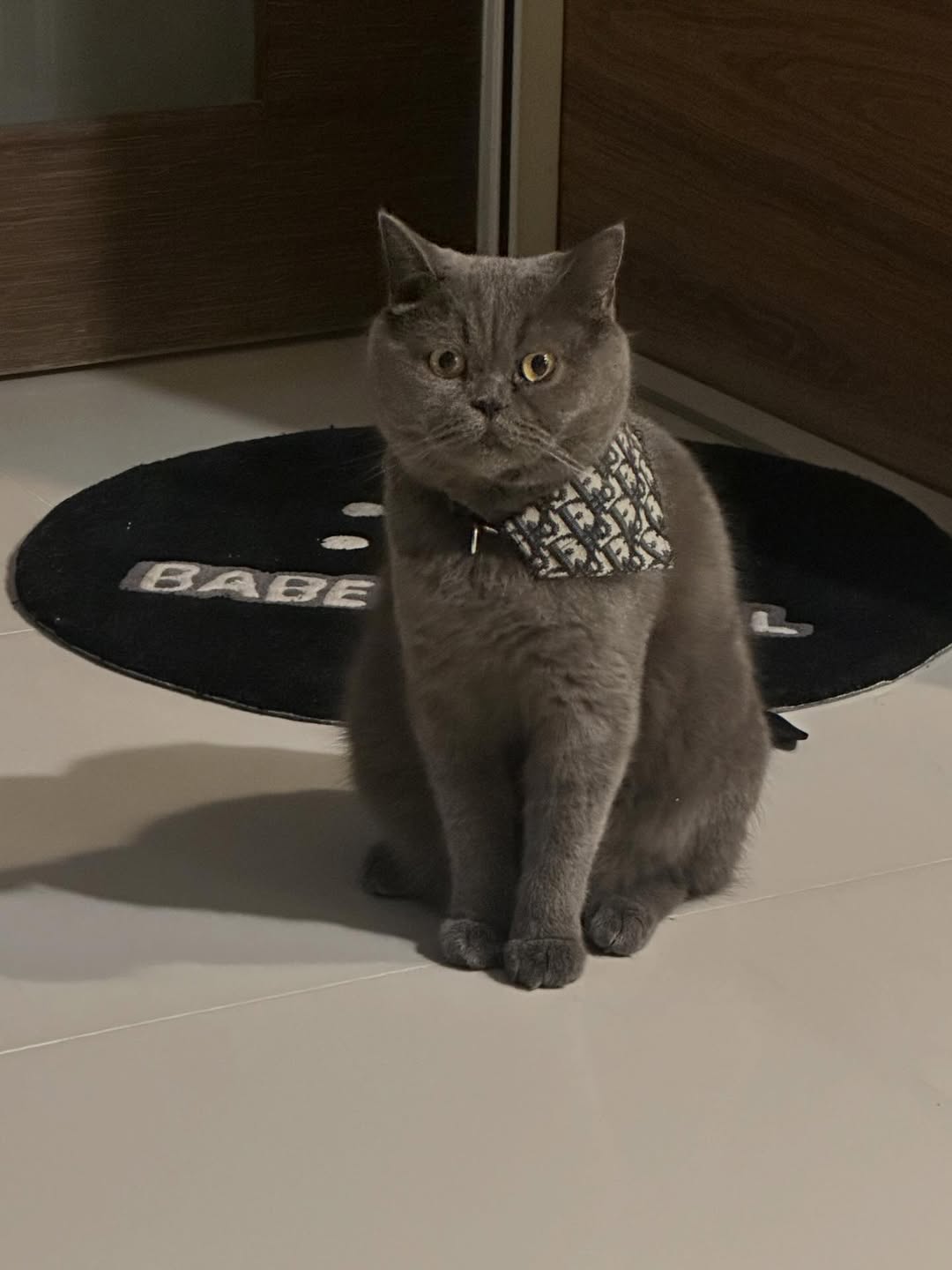 อุ้ม - ทวีพร พริ้งจำรัส