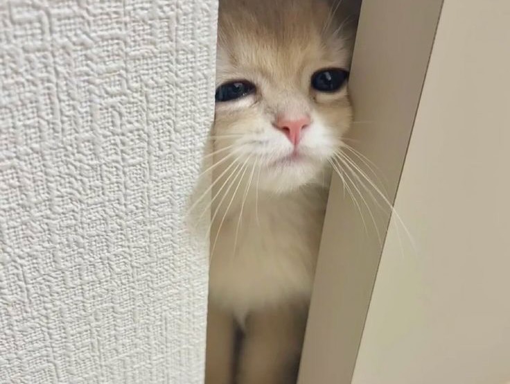 อุ้ม - ทวีพร พริ้งจำรัส