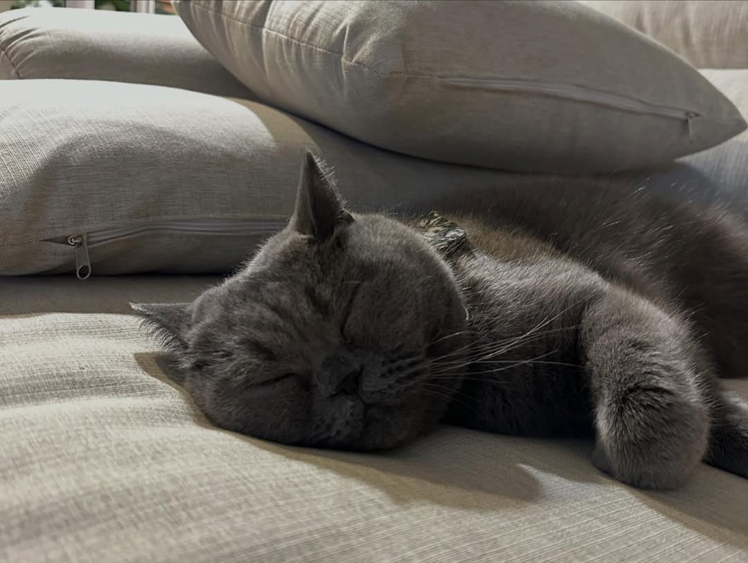 อุ้ม - ทวีพร พริ้งจำรัส