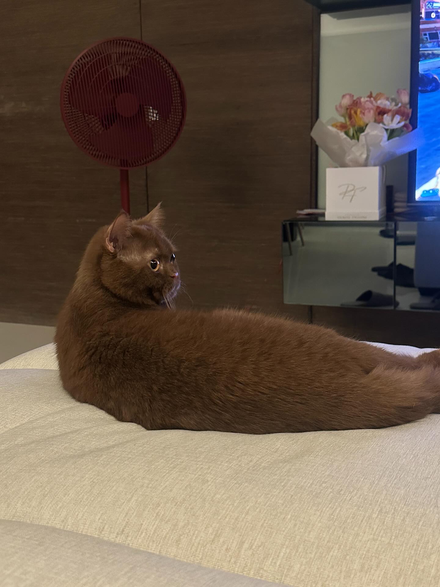 อุ้ม - ทวีพร พริ้งจำรัส