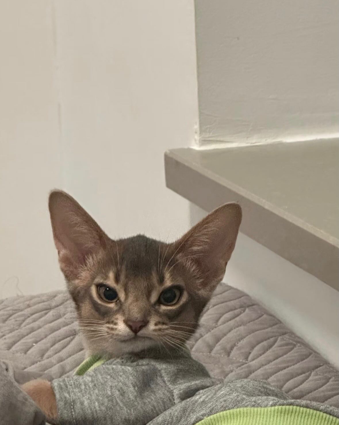 อุ้ม - ทวีพร พริ้งจำรัส