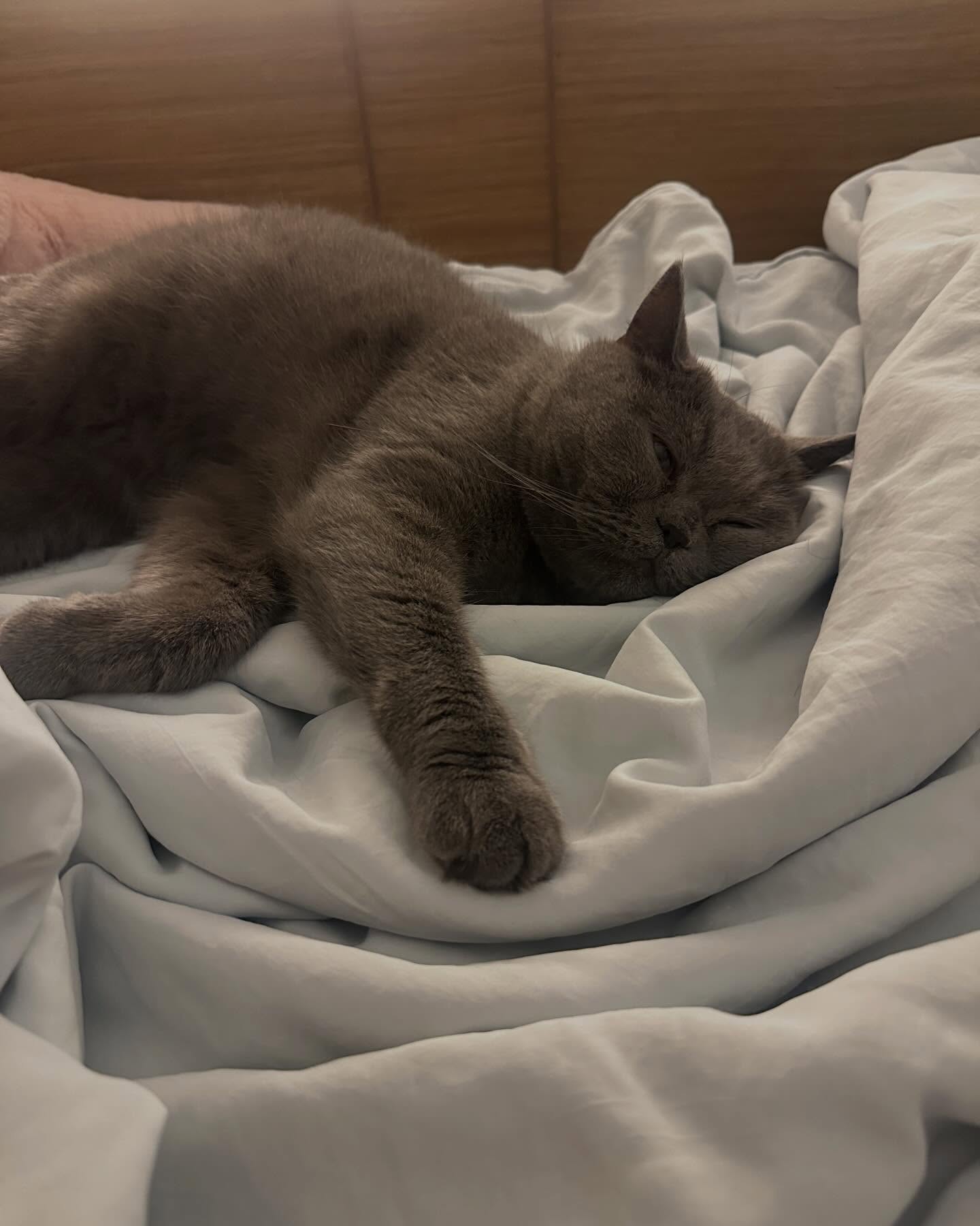 อุ้ม - ทวีพร พริ้งจำรัส