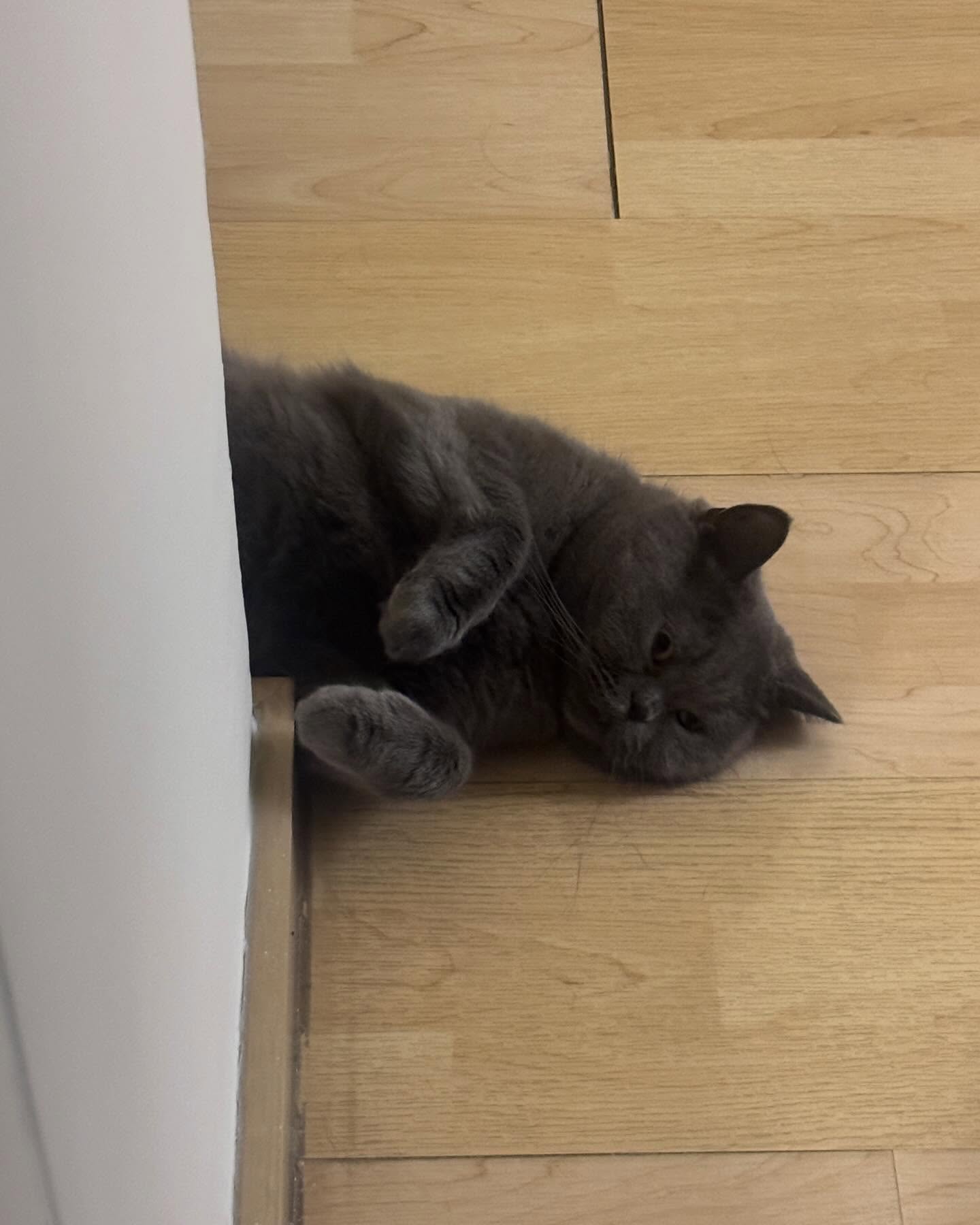 อุ้ม - ทวีพร พริ้งจำรัส