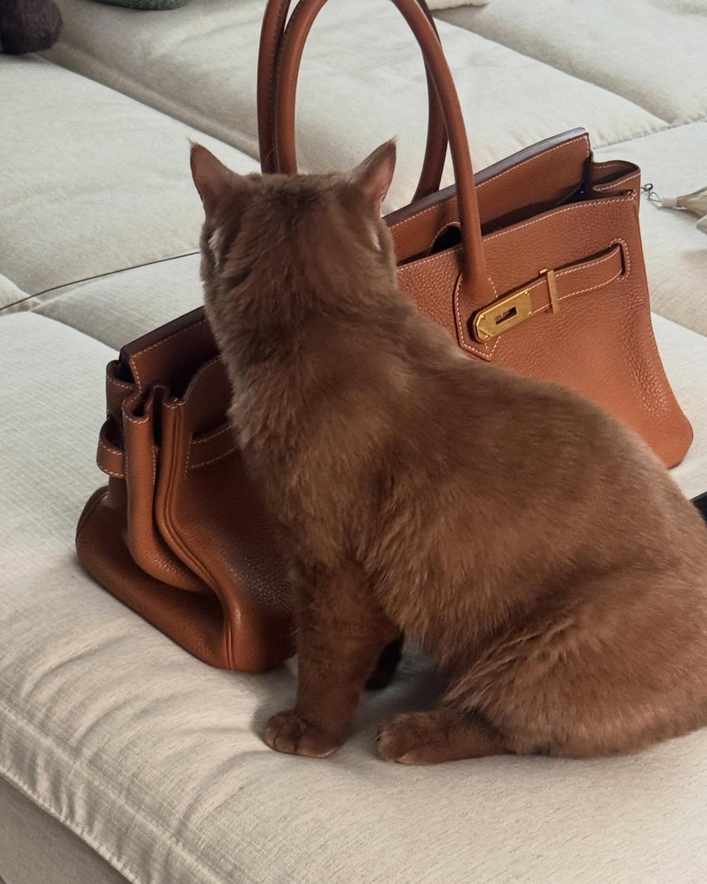 อุ้ม - ทวีพร พริ้งจำรัส