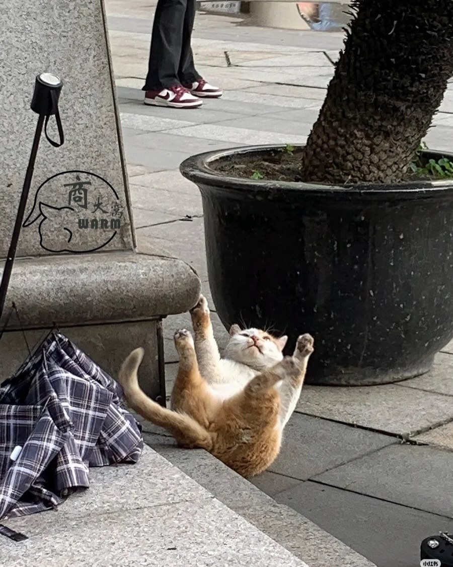 อุ้ม - ทวีพร พริ้งจำรัส