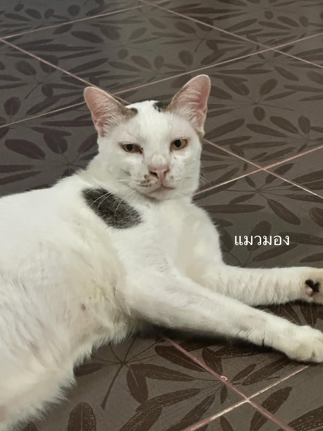 อุ้ม - ทวีพร พริ้งจำรัส