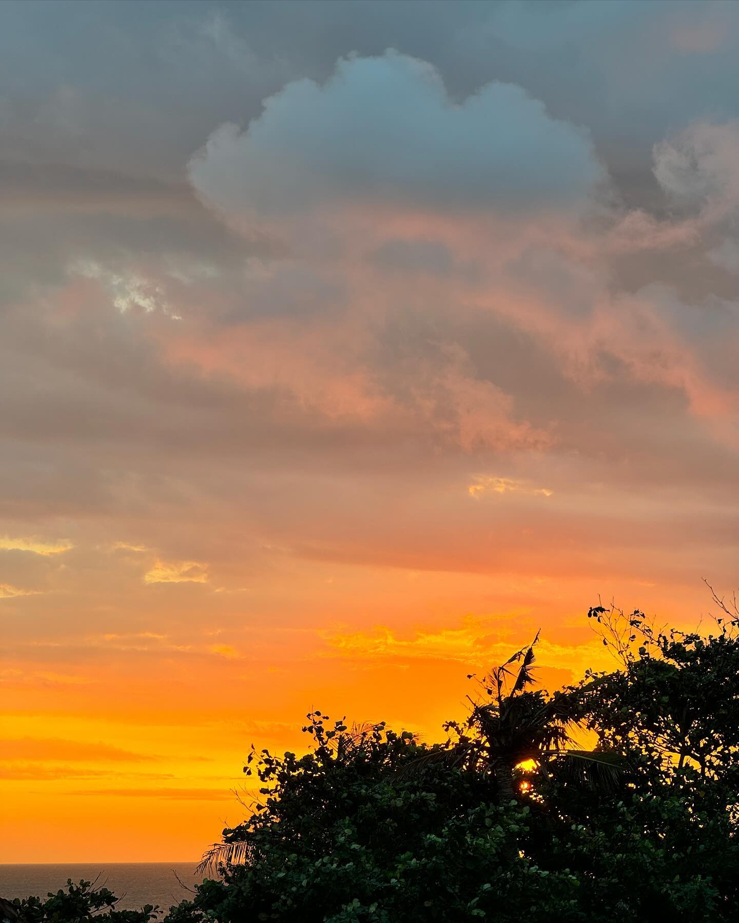 เต้ย - จรินทร์พร จุนเกียรติ