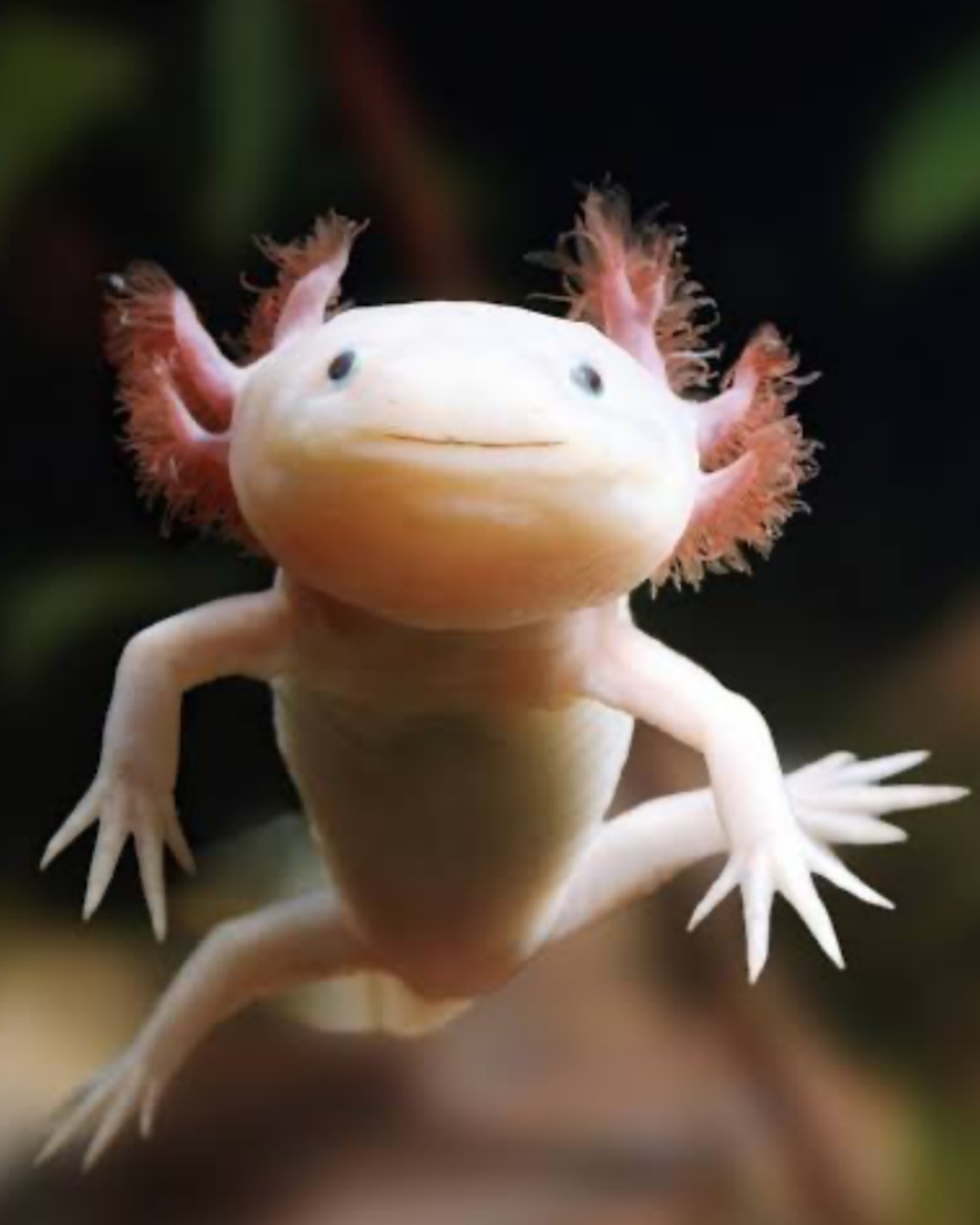 เต้ย - จรินทร์พร จุนเกียรติ